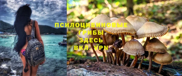 синтетический гашиш Нефтекумск