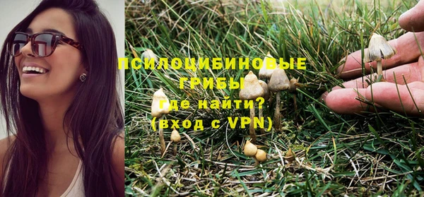 Альфа ПВП Нефтегорск