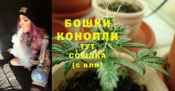прущая мука Нея