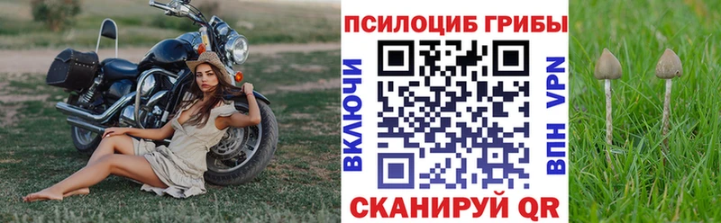 МЕГА tor  Шарья  Псилоцибиновые грибы мухоморы 